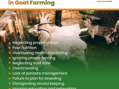 10 Things You should Know About Breeding & Farming  …