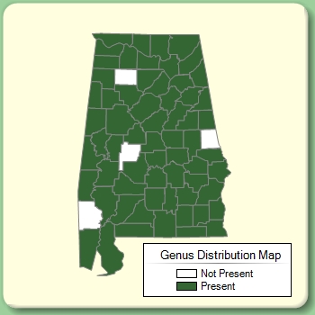 Alabama based   Sites |  Directory