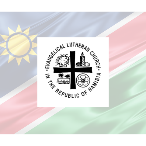 CONSTITUTION OF THE  SOCIETY OF NAMIBIA