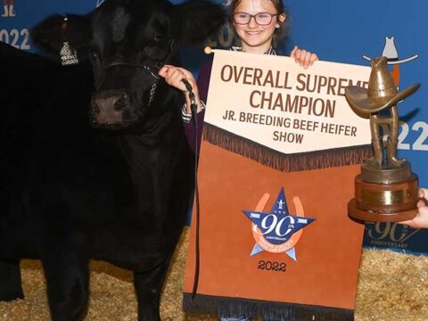 Heifer Takes Top Honors at Houston Livestock Show