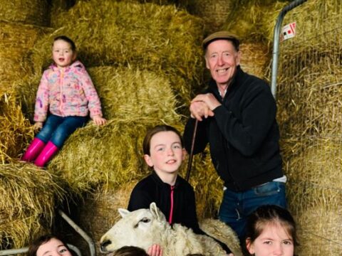 Meath herd bets on   to shake up Irish …