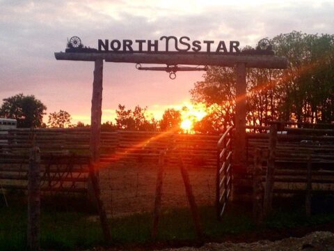 Northstar Livestock –