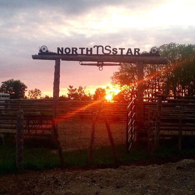 Northstar Livestock –