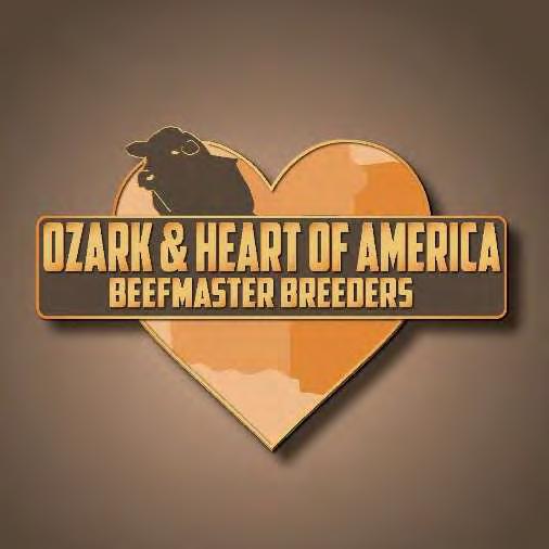 Ozark & Heart of America   –